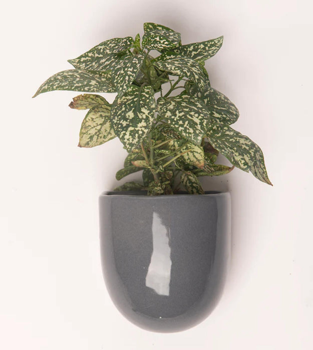 Watercolor Rhythms Planter