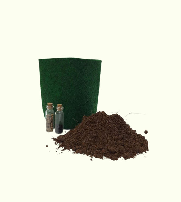 Vegetable Grow Kit