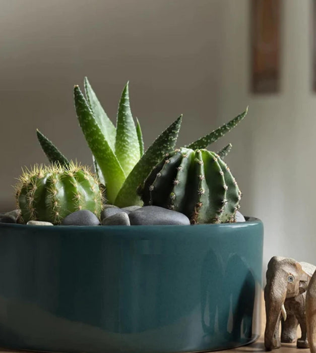Lilac Stories Planter - Flat