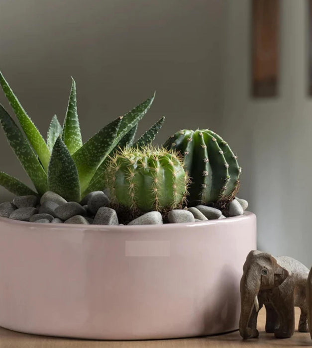 Lilac Stories Planter - Flat