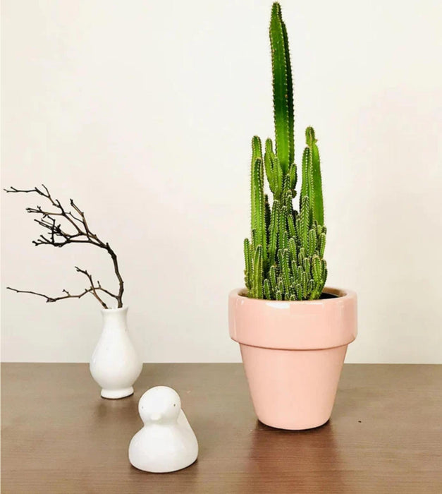 The Dream Pot Planter