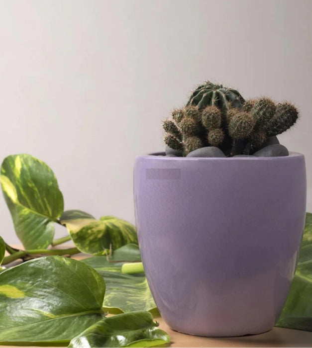 Nature's Hum Planter