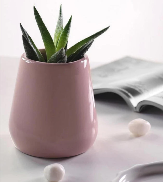 Tulip Fantasy Extra Small Planter