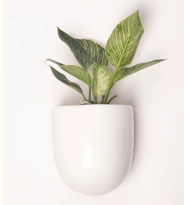Watercolor Rhythms Planter