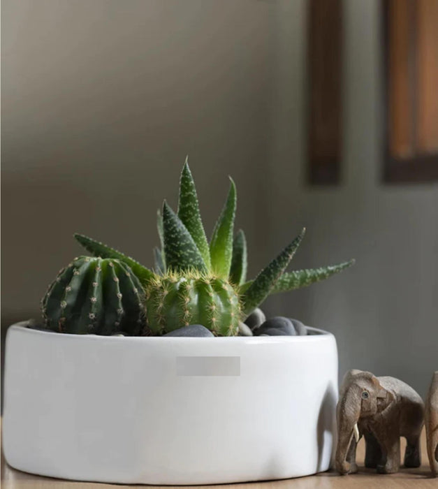 Lilac Stories Planter - Flat
