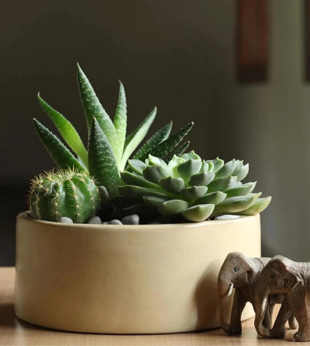 Lilac Stories Planter - Flat
