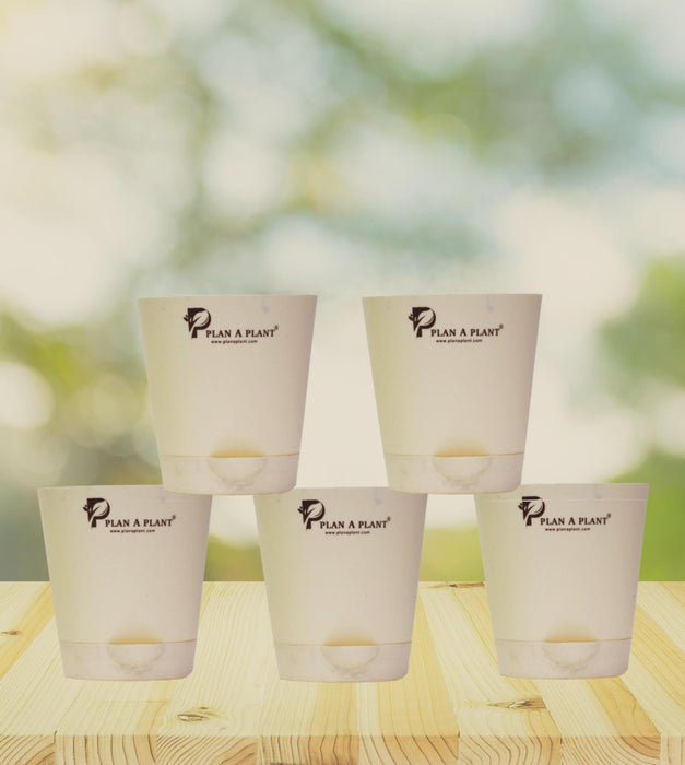 5inch Self Watering Pot Set Of (05)