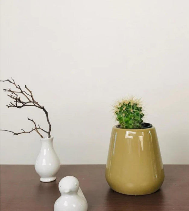 Tulip Fantasy Extra Small Planter
