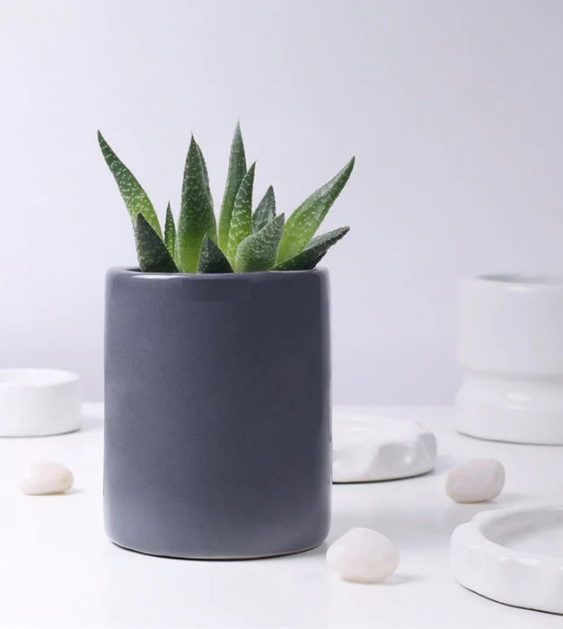 Lilac Stories Planter- Extra Small