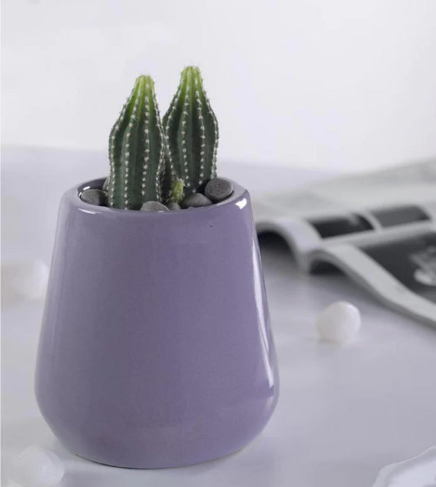 Tulip Fantasy Extra Small Planter