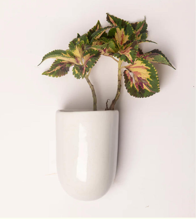 Watercolor Rhythms Planter