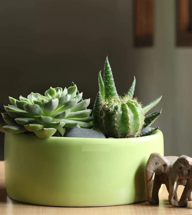 Lilac Stories Planter - Flat