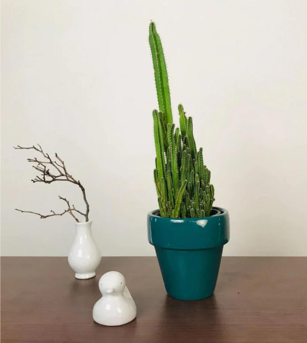 The Dream Pot Planter