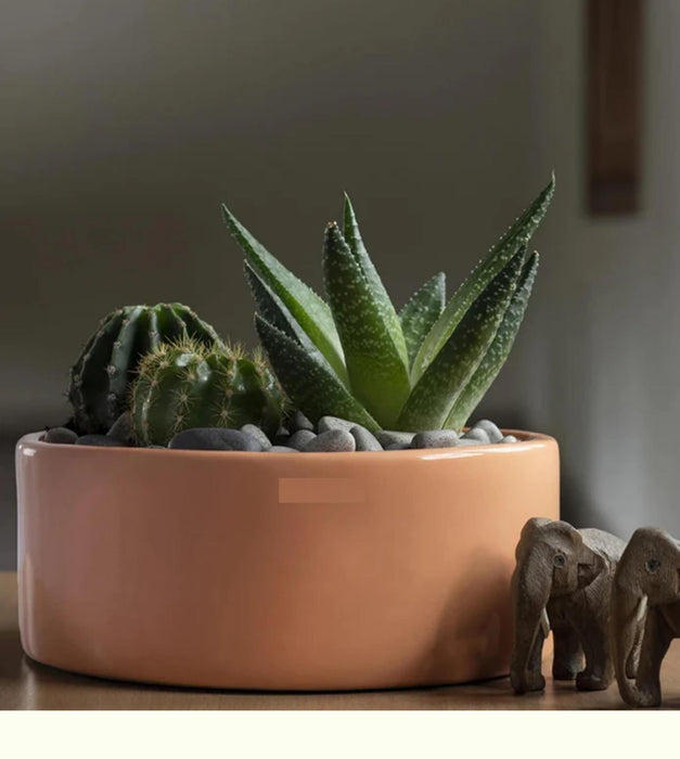Lilac Stories Planter - Flat