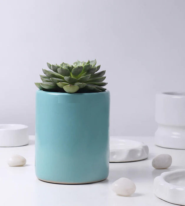 Lilac Stories Planter- Extra Small