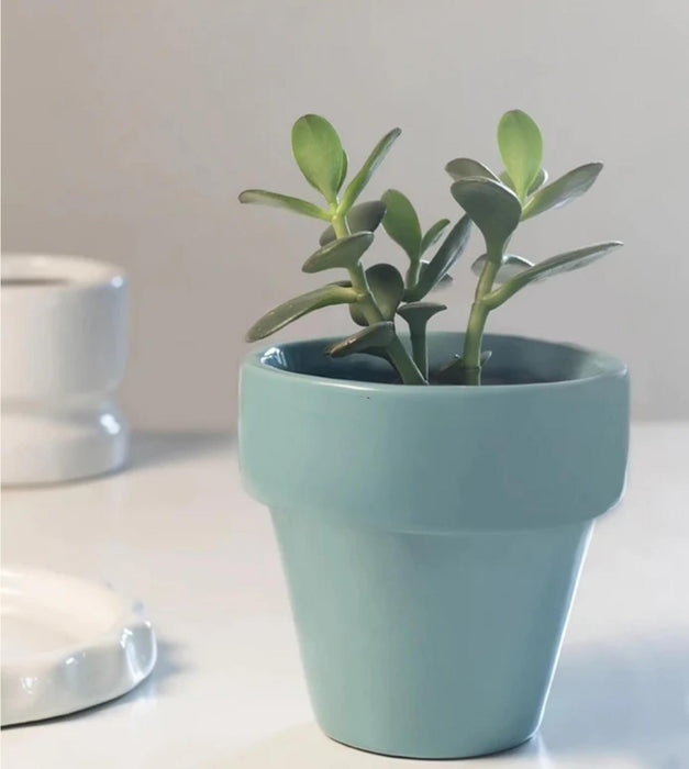 The Dream Pot Planter