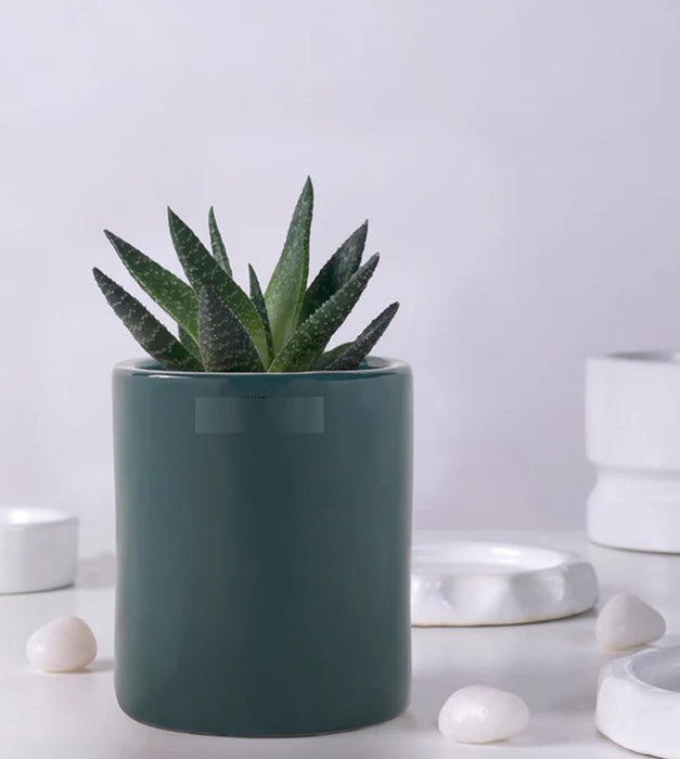 Lilac Stories Planter- Extra Small