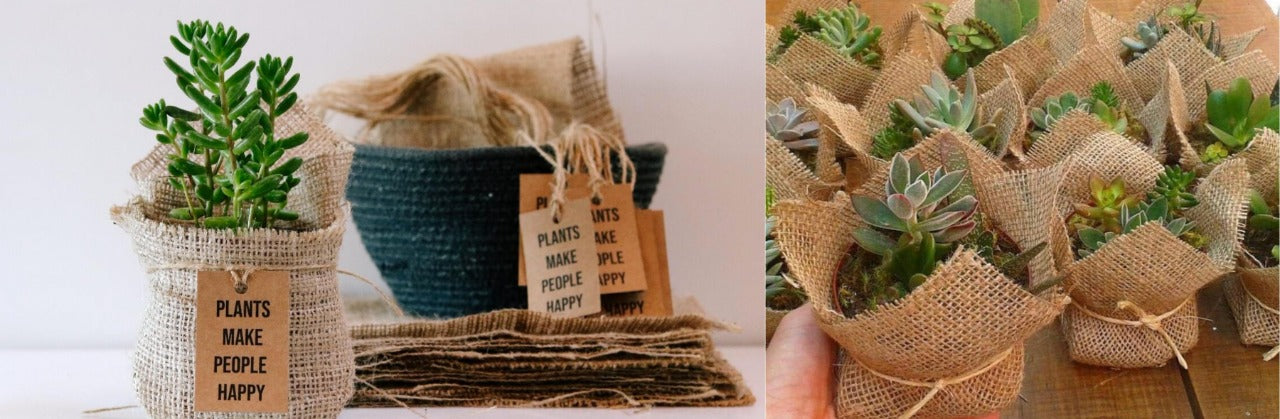 ALL YOU NEED TO KNOW ABOUT “GREEN GIFTING” - GIFTS THAT GROWS WITH YOUR LOVE.