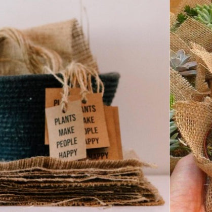 ALL YOU NEED TO KNOW ABOUT “GREEN GIFTING” - GIFTS THAT GROWS WITH YOUR LOVE.