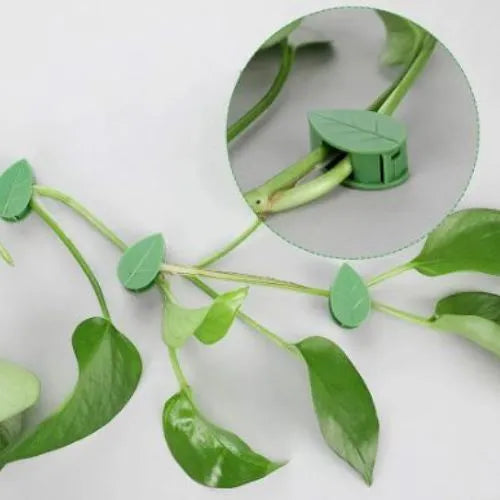 Plant Climbing Clips (Set of 10)