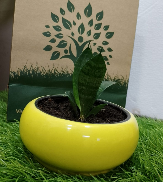 Ceramic decorative planter (Yellow)