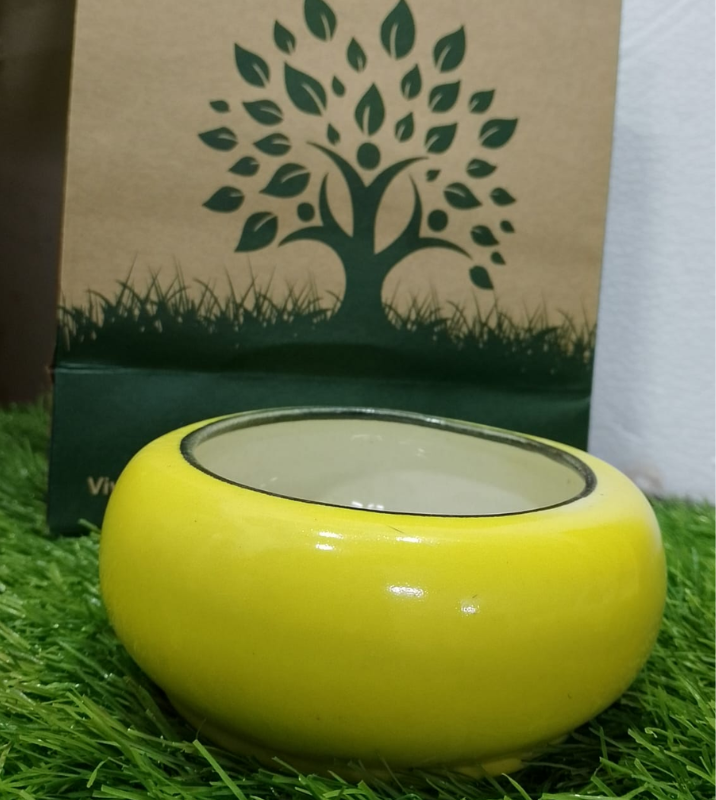 Ceramic decorative planter (Yellow) — Plan A Plant