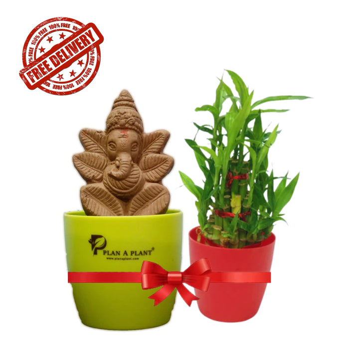 Plant Ganesh Lucky Combo
