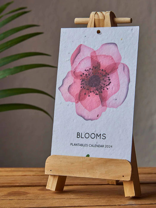 Blooms Calendar 2024
