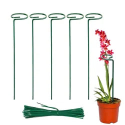 Metal Plant Support Stakes (Set of 5)