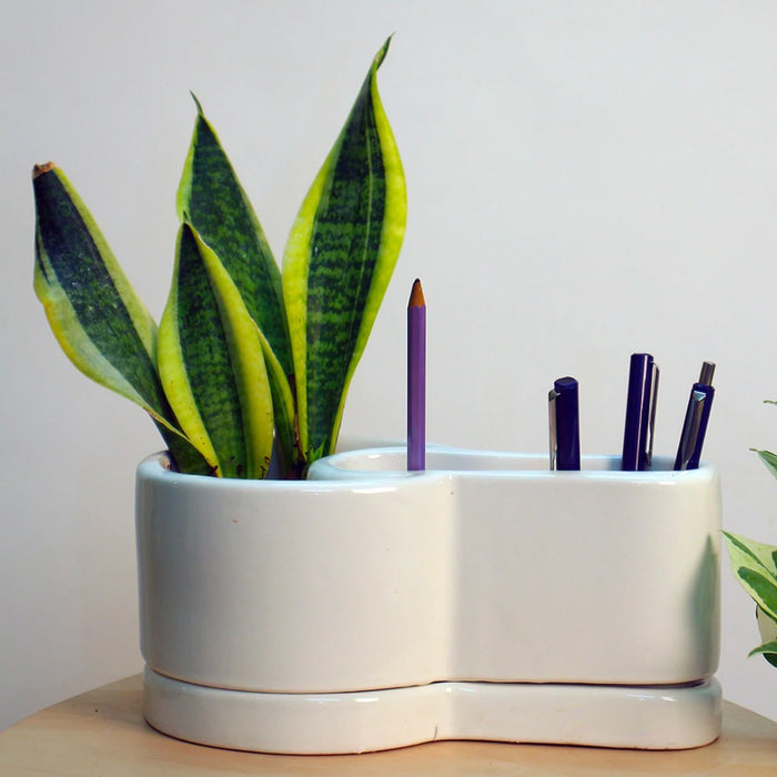 Table Decor | Small Ceramic Planter with Pen Stand