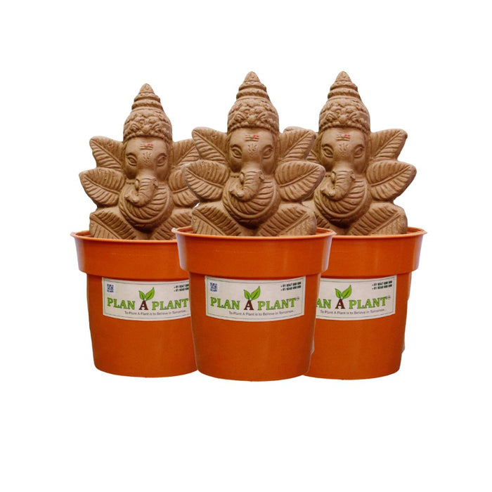 Combo of  3 Plant Ganesh Mini