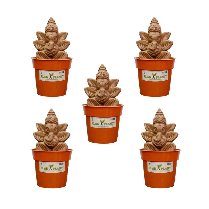 Combo of 5 Mini Plant Ganesh