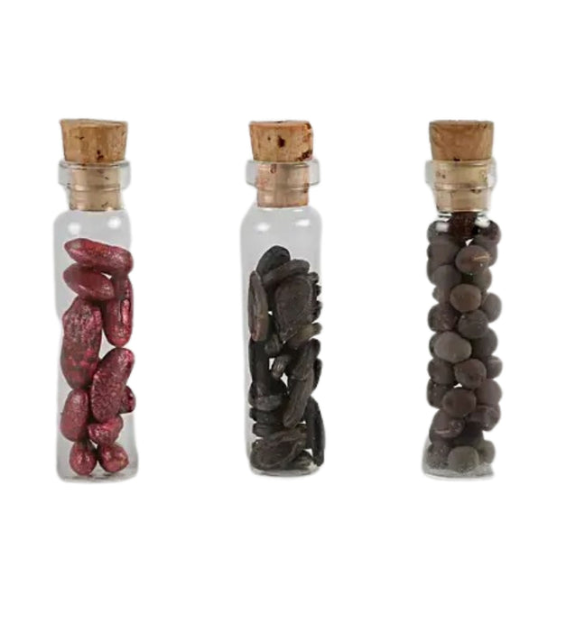 Seed Gift Bottles (Set of 5 )