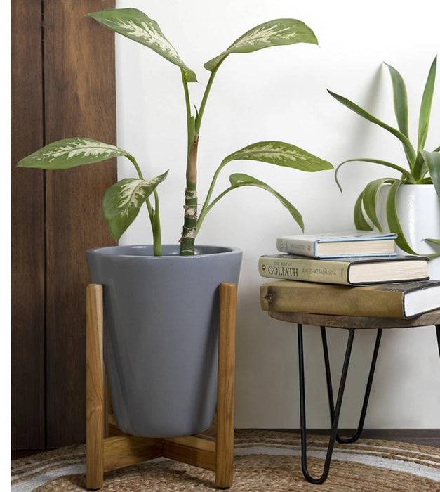 Love Bite Planter - With Wooden Stand