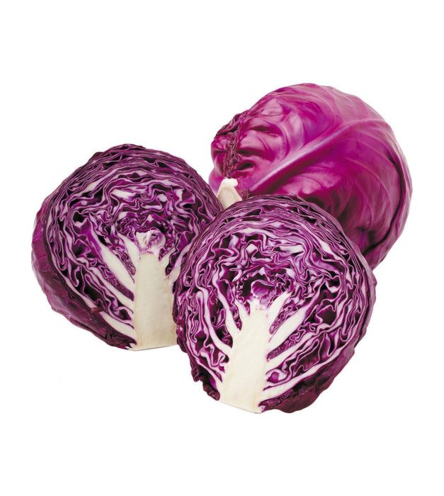 Red Cabbage 10 seeds — Plan A Plant