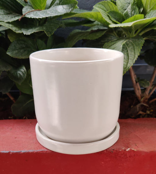 4 inch white ceramic plant pots Ceramic pots 4inch — Plan A Plant
