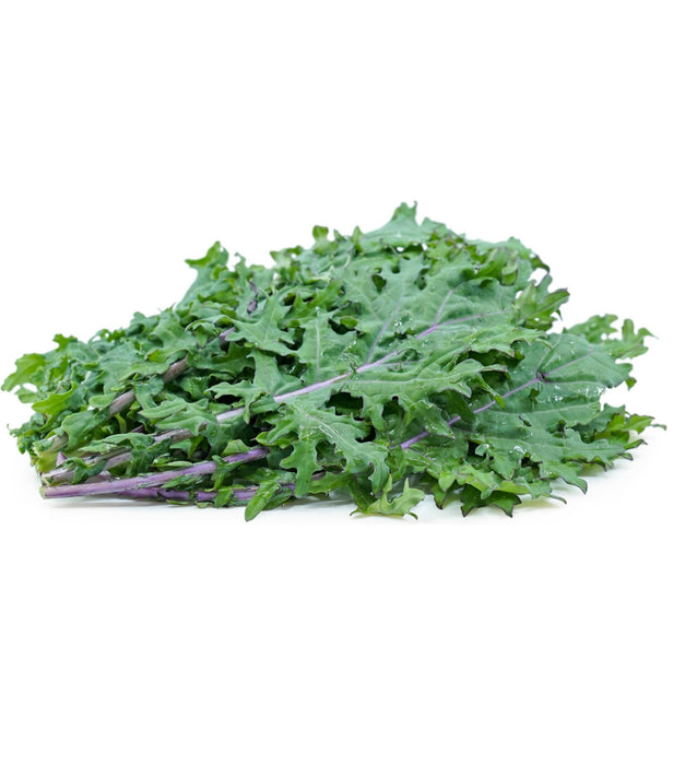 Red Russian Kale 10 Seeds