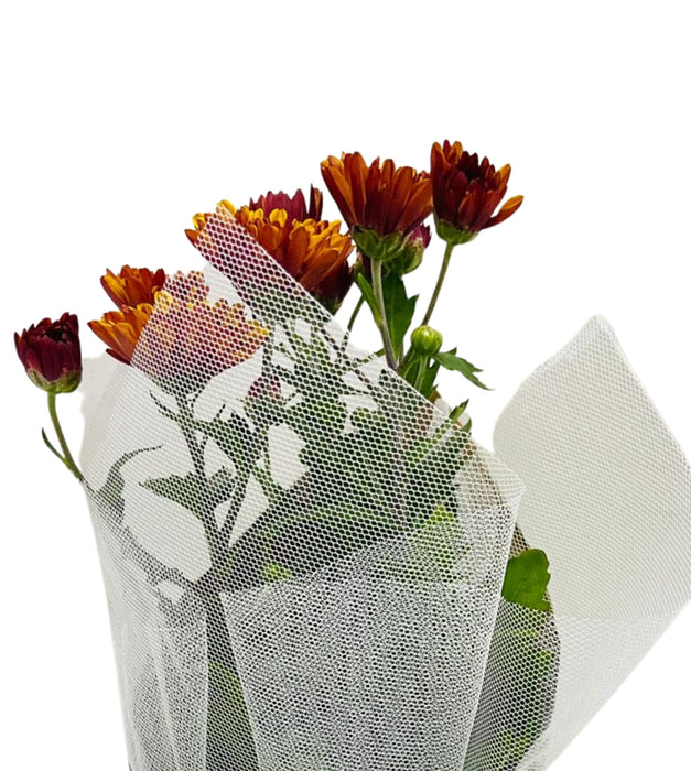 Chrysanthemum Gift Wrapped