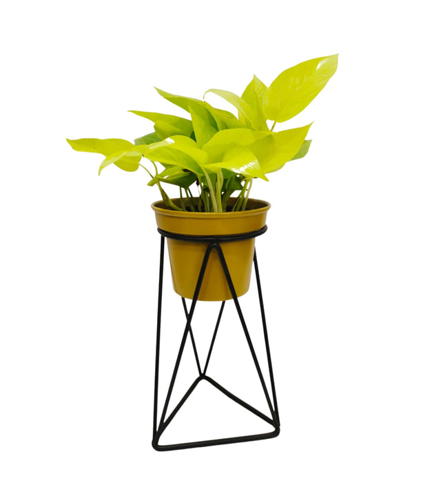 Triangle Stand with Metal Pot