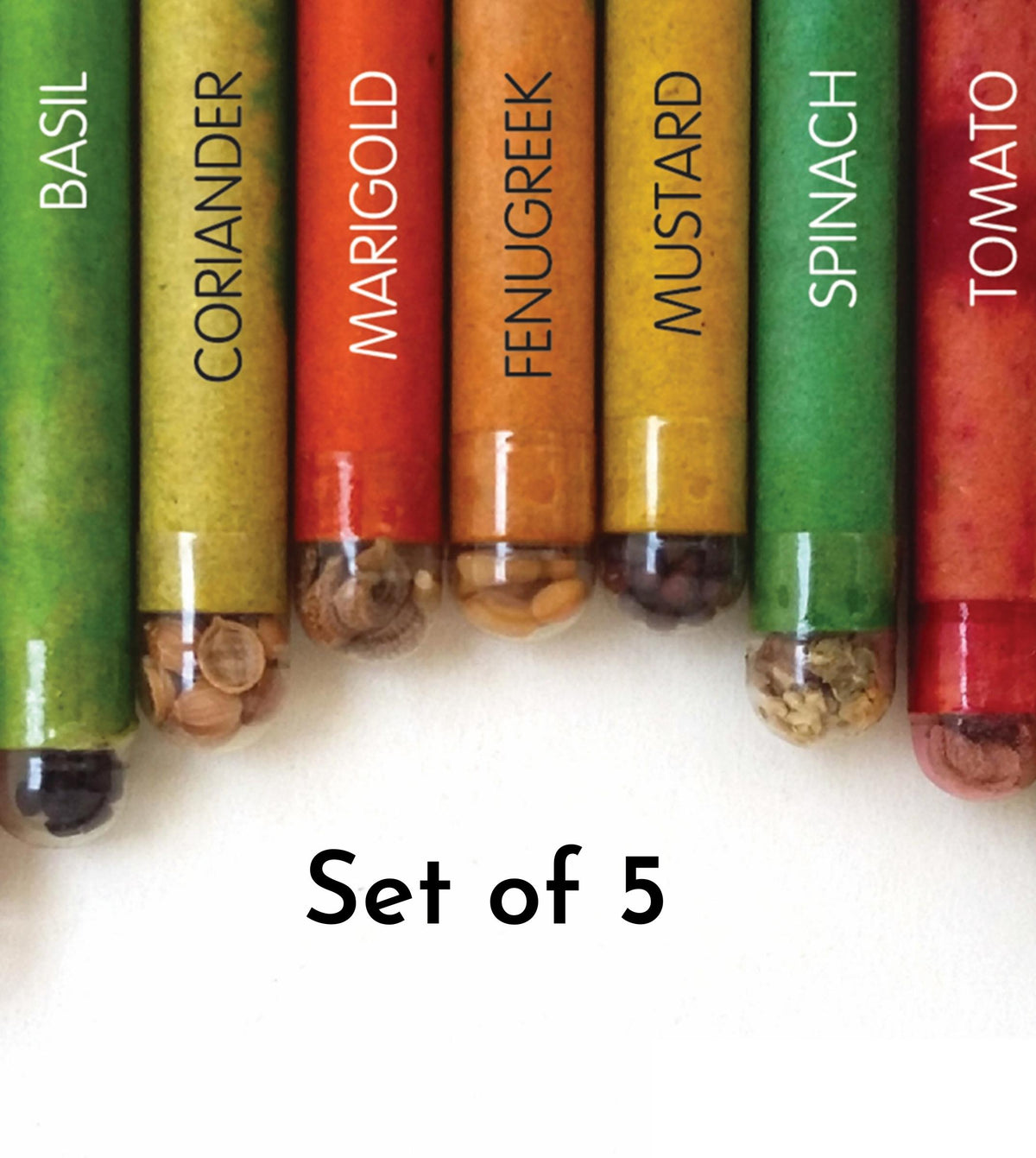 pencil seed plant Seed Pencil (set of 5 ) — Plan A Plant